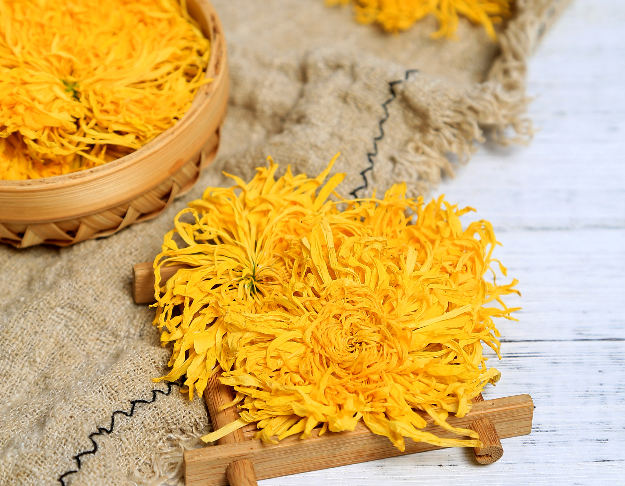金丝皇菊